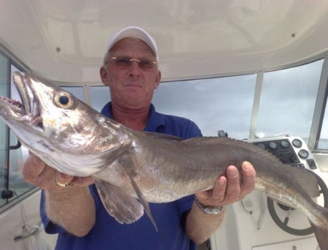 Captura del dia de pesca
